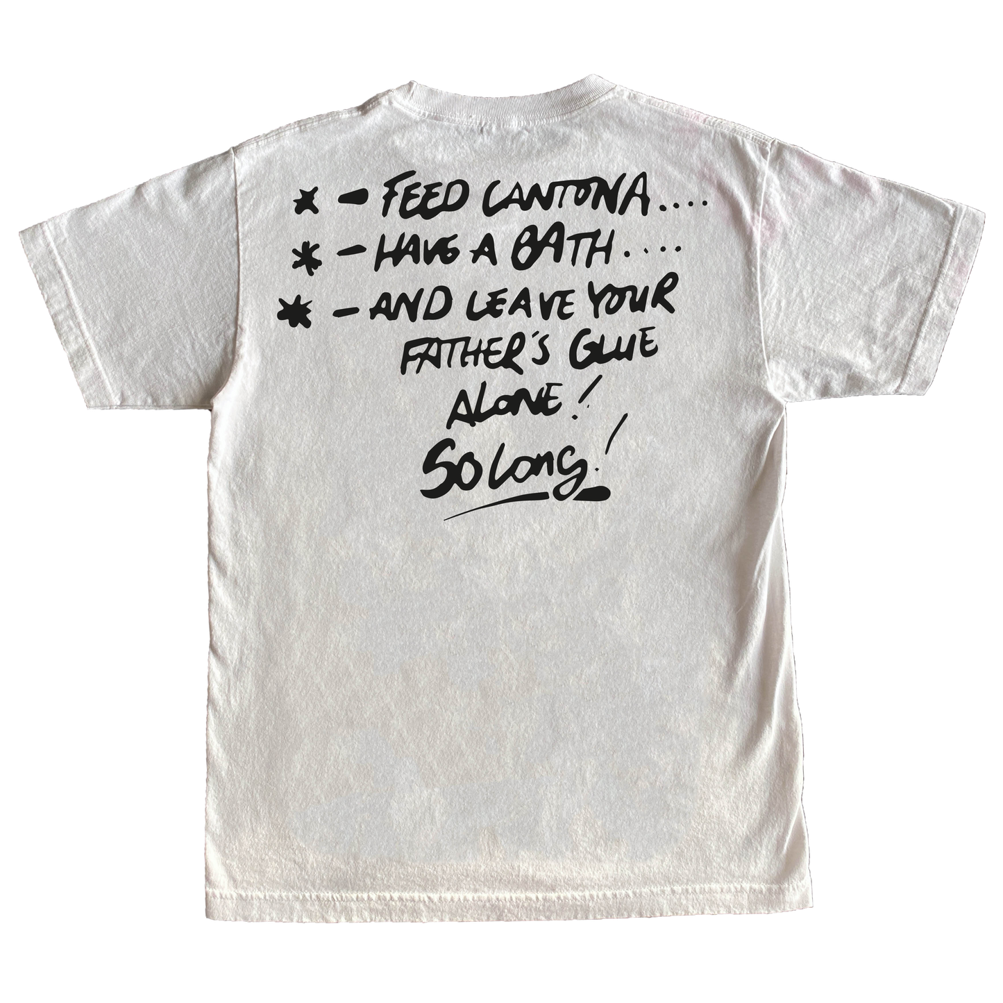 A Guy Called Minty, Wales Away Regular Fit T-Shirt