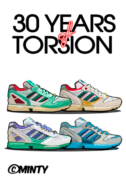 30 years of torsion Print